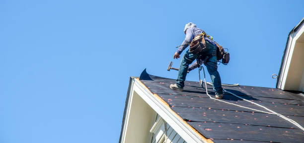 Best Metal Roofing Contractor  in Mitchell, NE